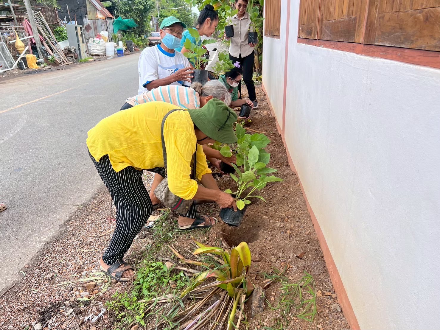 อำเภอวัดเพลง ส่งเสริมการปลูกผักสวนครัวสร้างความมั่นคงทางอาหาร ลดรายจ่าย เพิ่มรายได้ 
